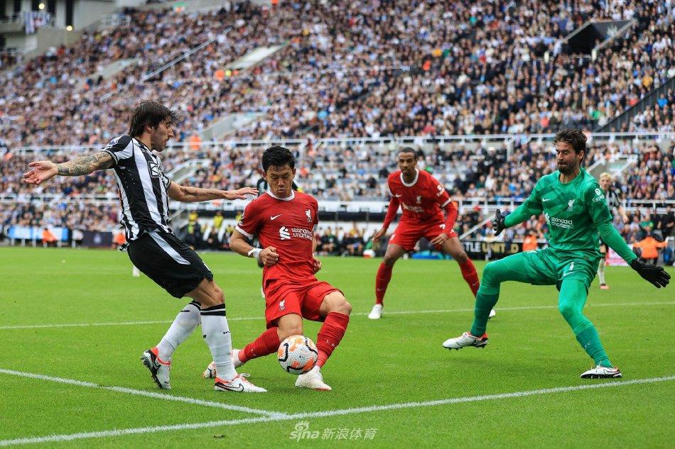 扮演了至关 扮演了至关